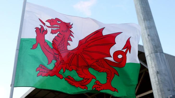 Wales' flag